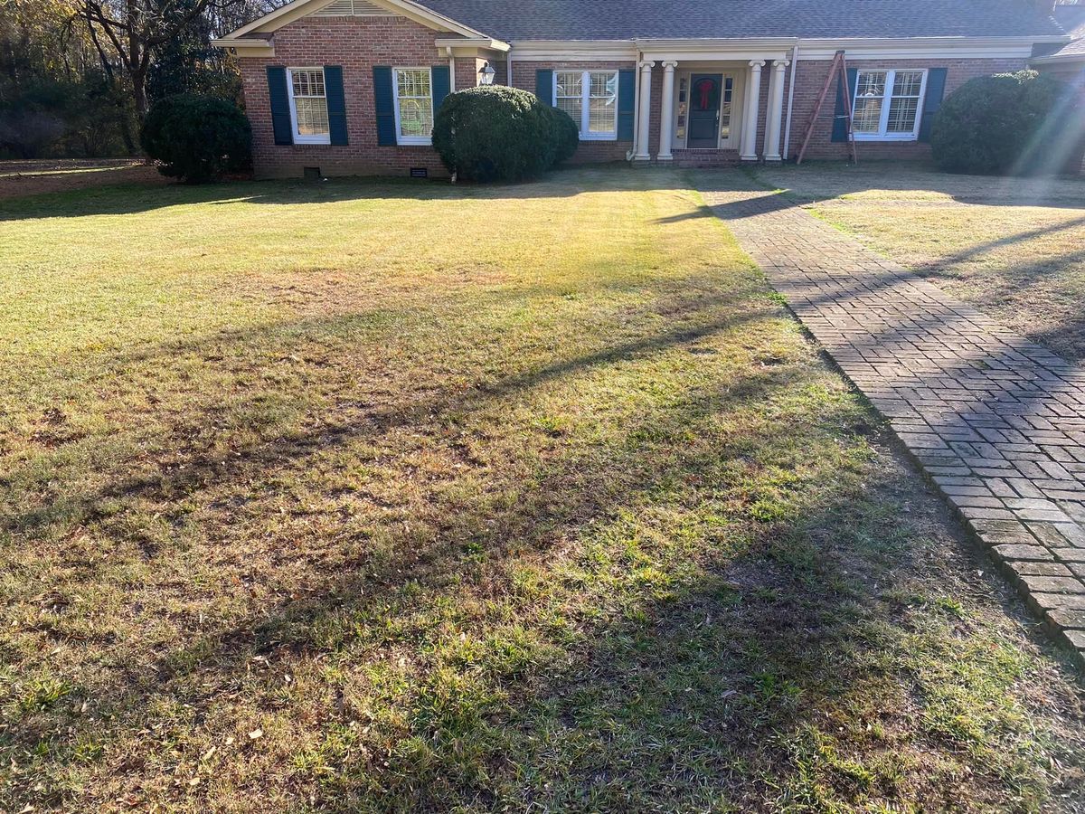 Clean Up Services for Renfroe Lawncare in Savannah, TN