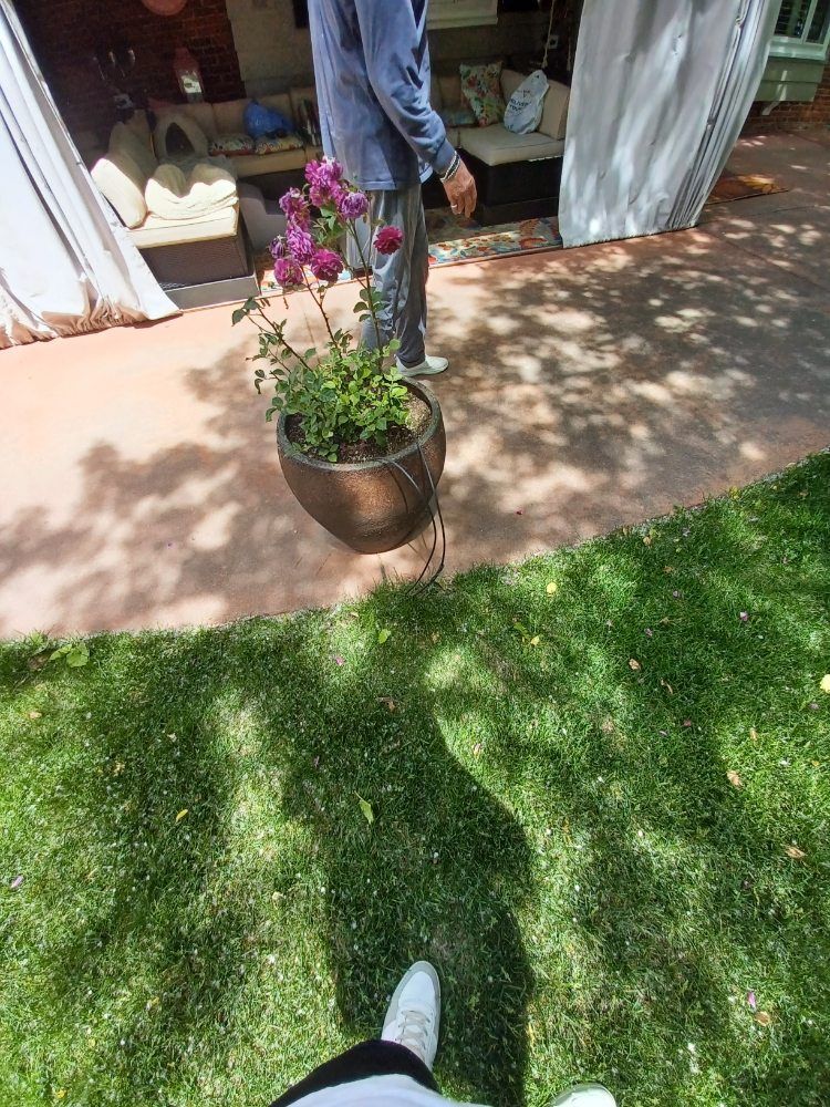 Lawn Aeration for Ground Control Gardens in Littletown ,  CO