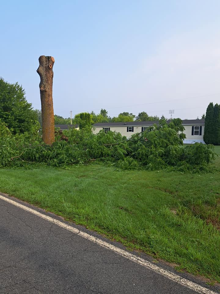 Timber Management for God's Country Timber Management in Hillsdale, MI