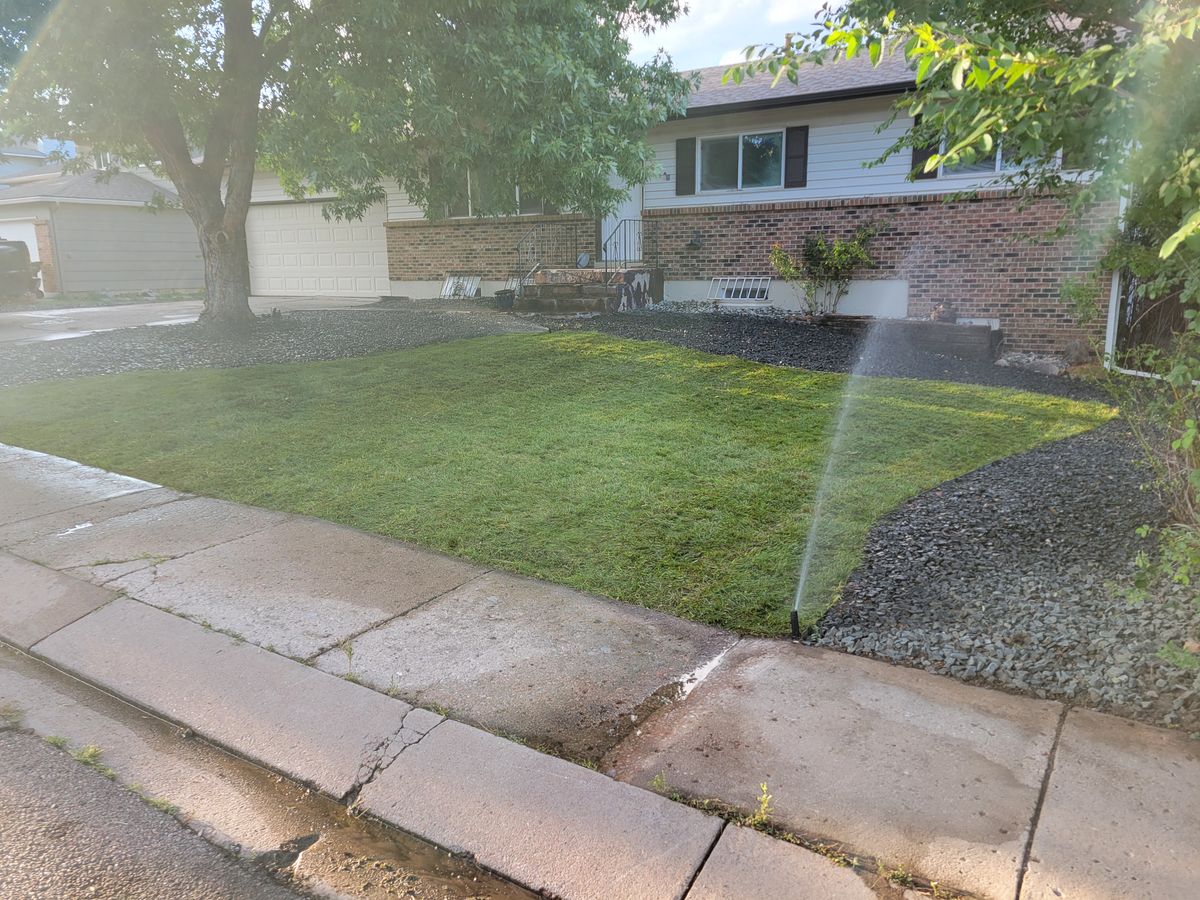 Sod Installation for JS Landscaping Colorado in Denver, CO