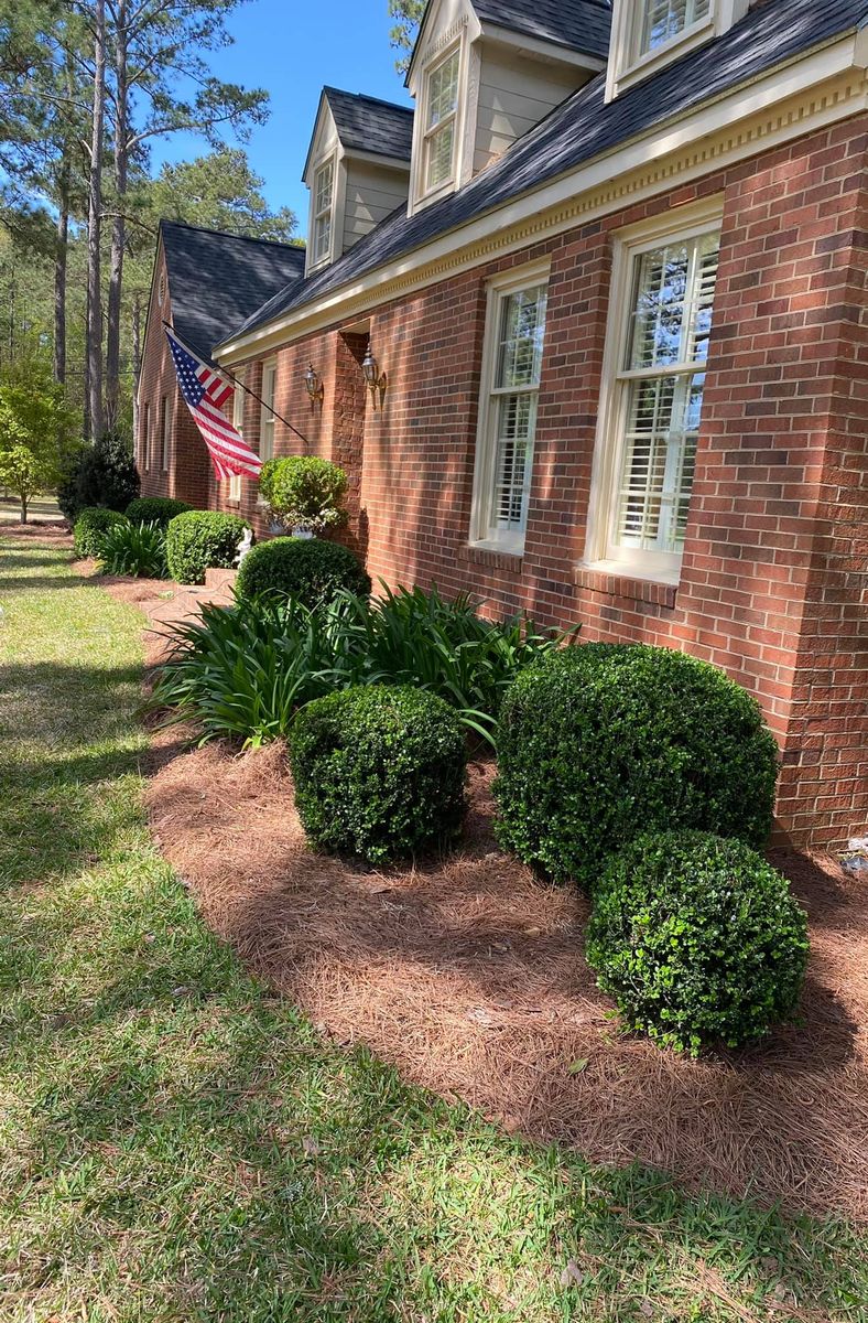 Tree & Shrub Care for Thomasville Lawn Care in Thomasville, GA