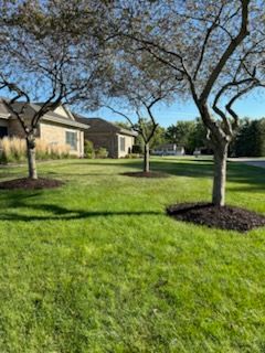 Landscaping and Hardscaping for Midwest Excavation & Landscape in Pontiac, IL