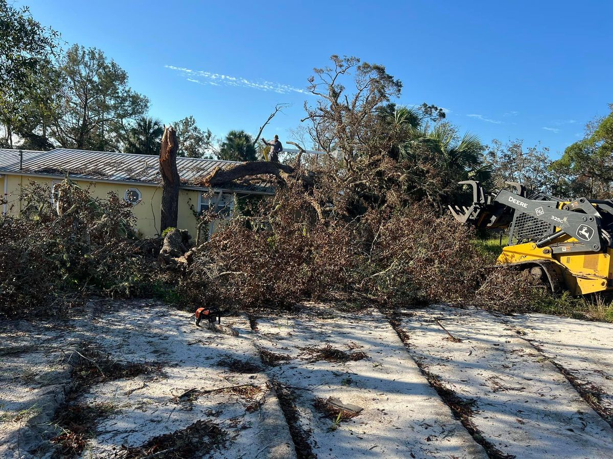 Tree service for Roberts Lawn & Landscape in Cross City, FL