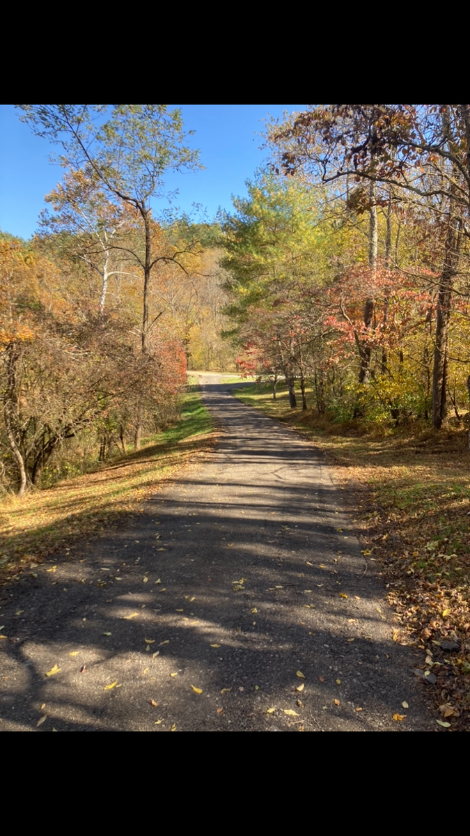 Driveway Regrading for 9999 Building and Renovation LLC in Warrenton, VA