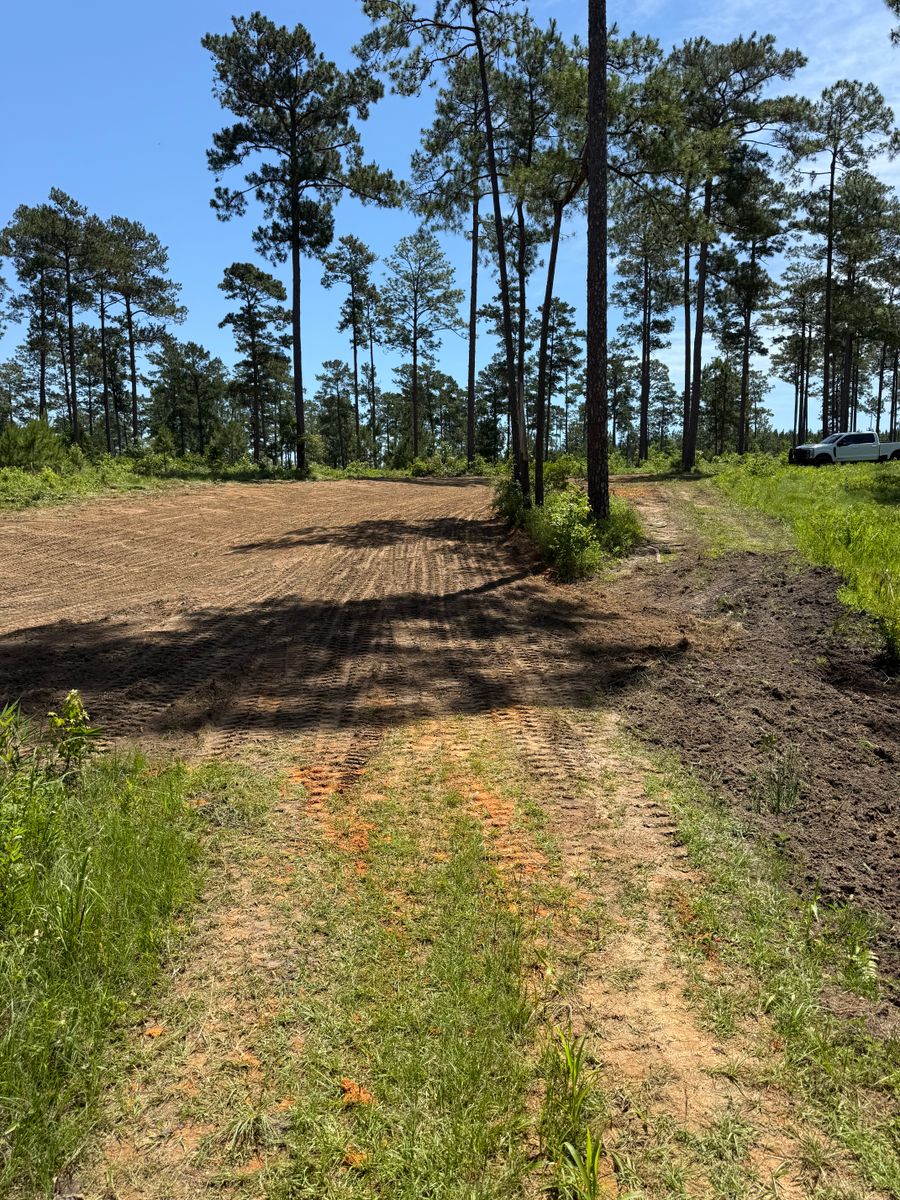 Land Clearing for Earthworks Septic LLC in Albany, Georgia