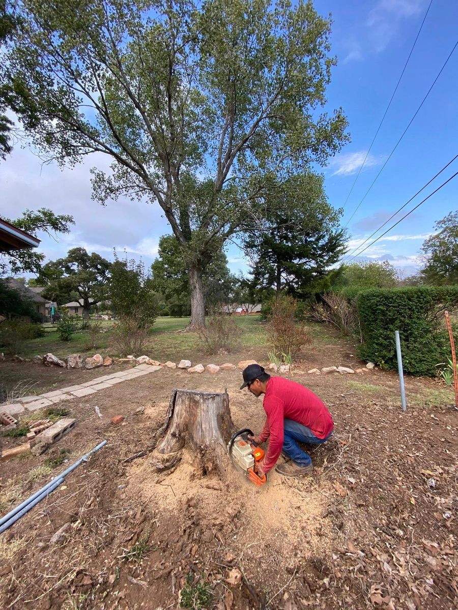 Stump Removal for Hector’s Tree Services in Nocona, TX