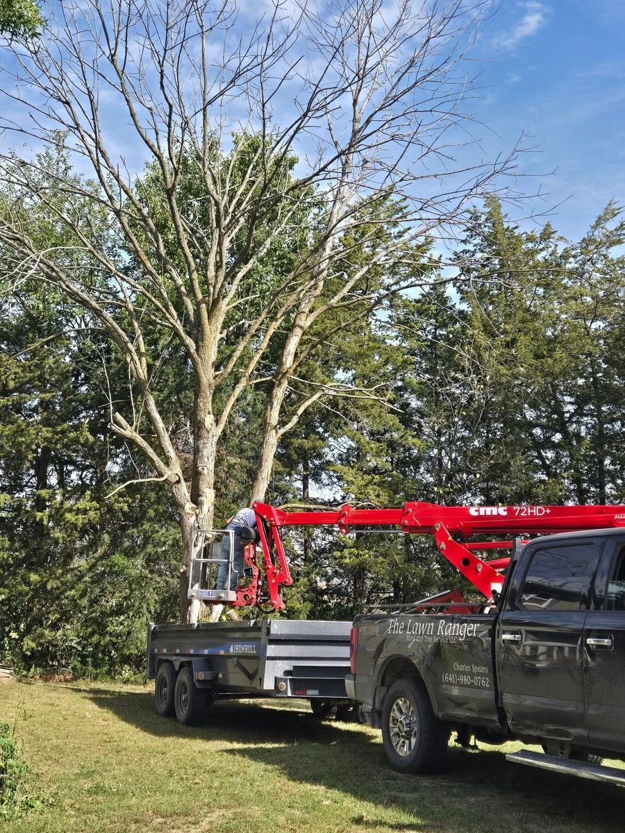 Tree Removal for Lawn Ranger Yard And Tree Service LLC in Ottumwa, IA
