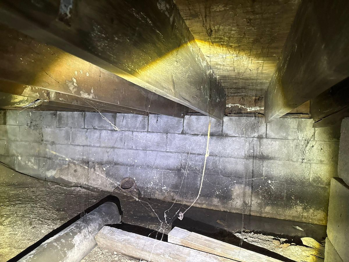 Foundation Repairs for The Guys Landscaping & Foundation Repairs LLC in Trenton, MI