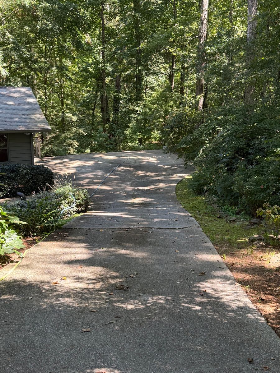 Driveway and Sidewalk Cleaning for Paratrooper Pressure Washing in Bradenton, FL