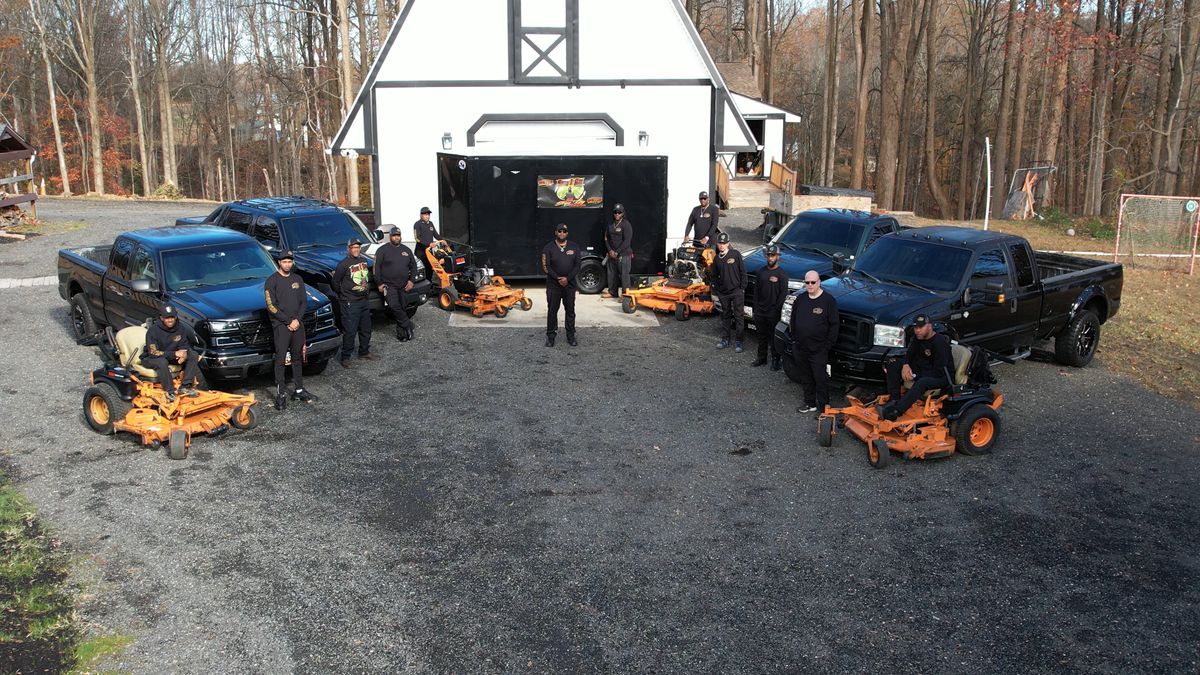 Tree & Shrub Care for Sam I AM Property Solutions in Sunderland, MD