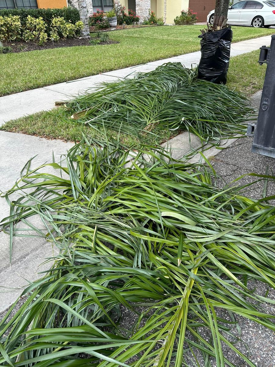 Curbside Pickup for Junk Heroes in Orlando, FL