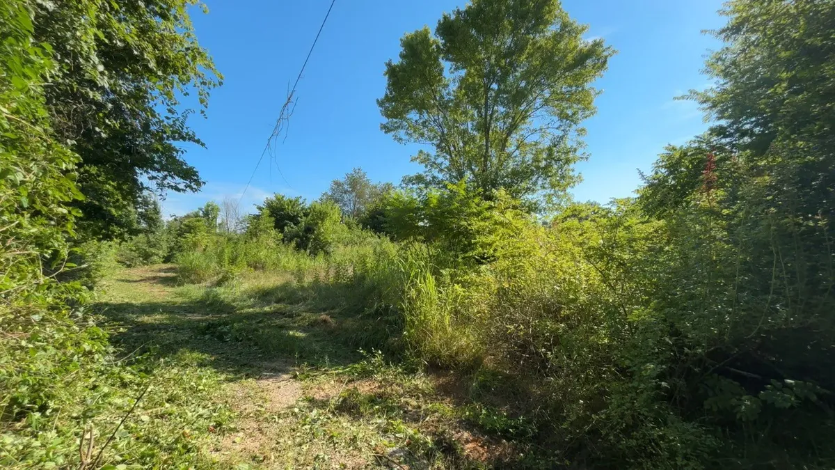 Brush Clearing for Three Rivers Dirt Works LLC in Knoxville, TN