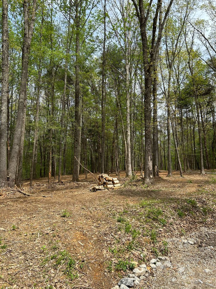 Land Clearing for Z's Land Management & Forestry Mulching in Smithville, TN