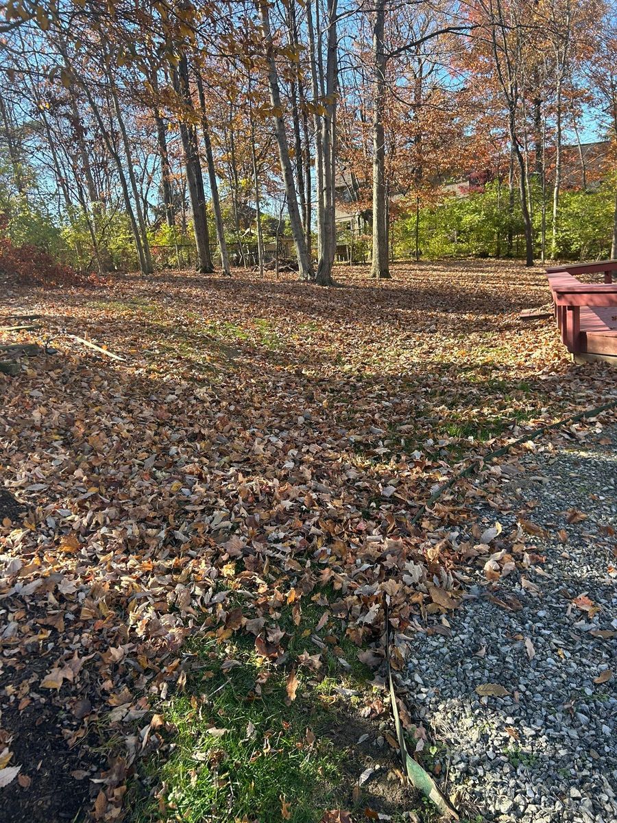 Shrub Trimming for Plenty Landscaping Solutions in Indianapolis, IN
