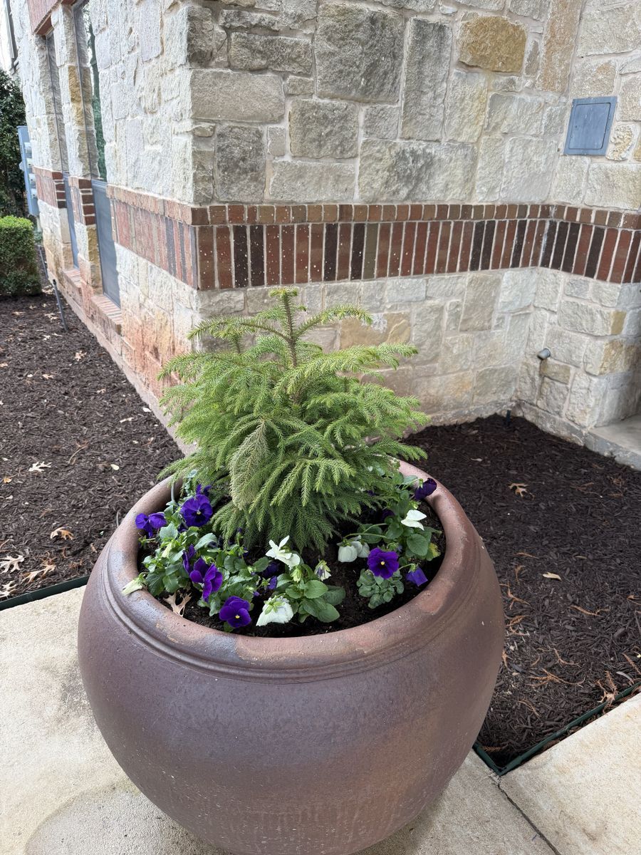 Landscape Install for Guerrero's Landscape in Fort Worth,  TX