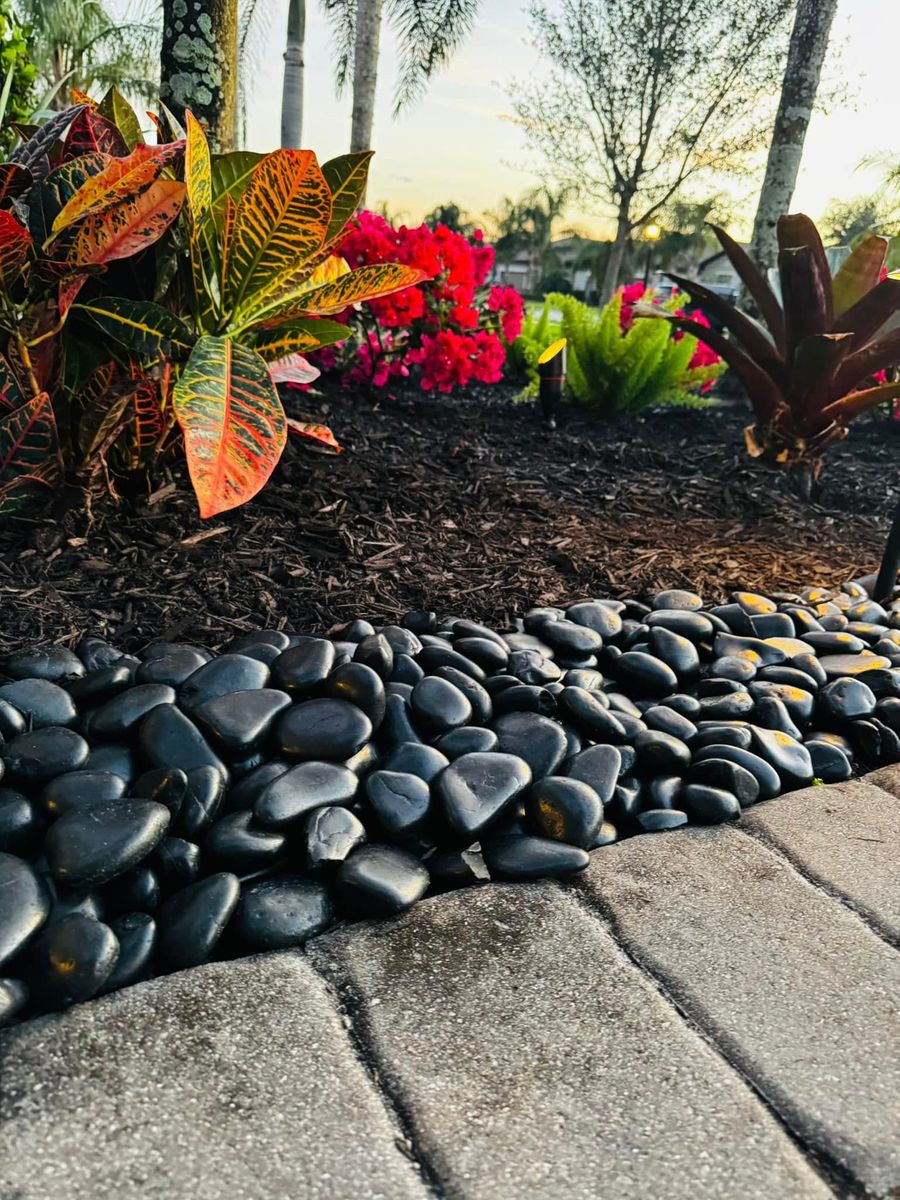 Seasonal Cleanups for Kozy Lawn & Landscapes in Castroville, TX