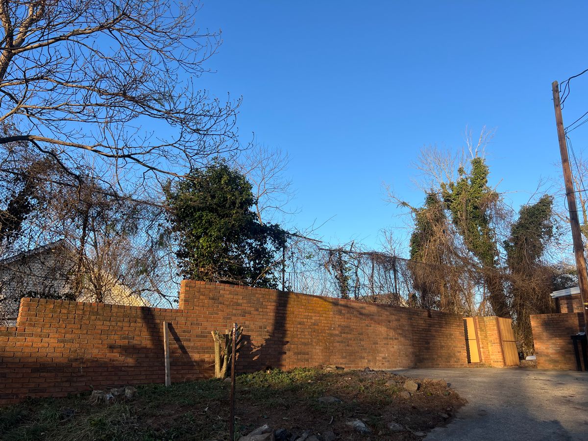 Hazard Trees for Ground To Sky Tree Care in Asheville, North Carolina
