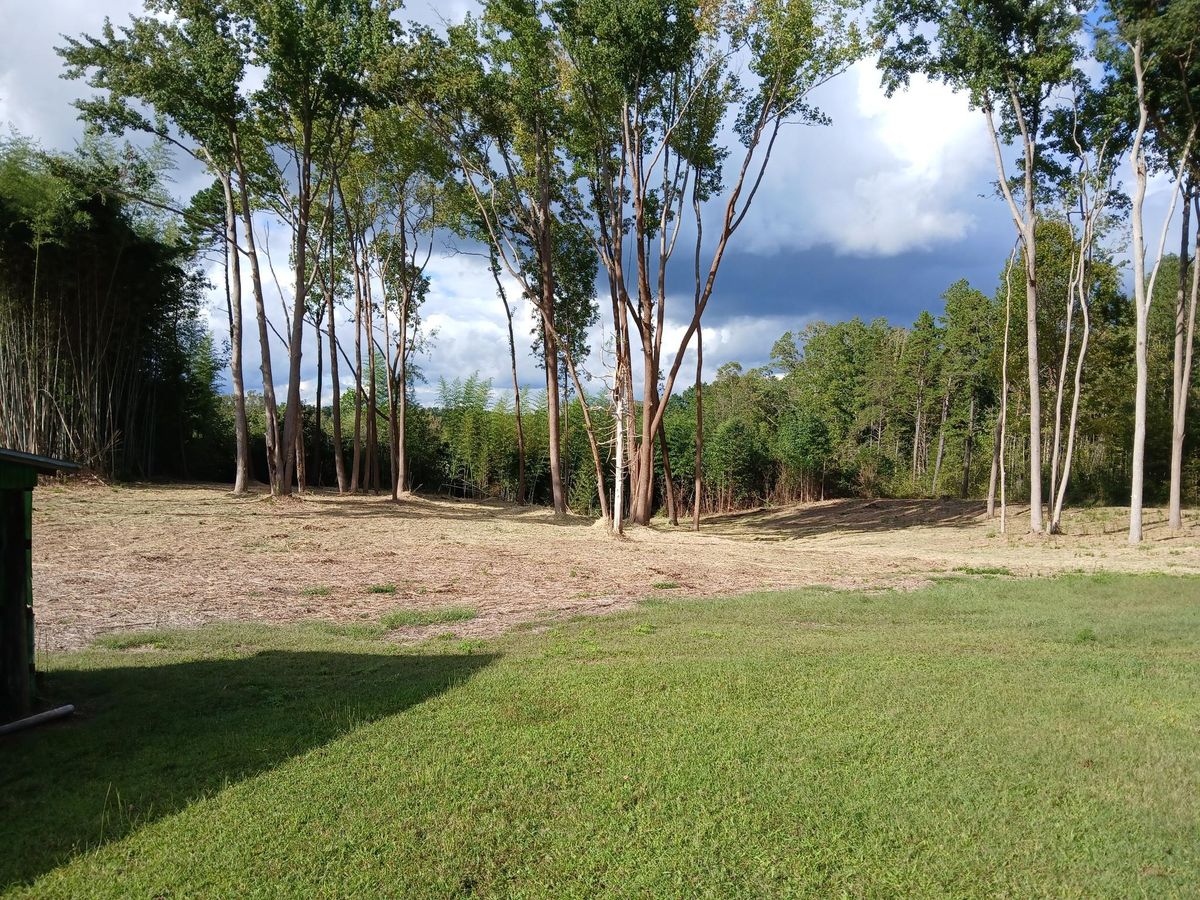 Site Preparation for Whiskey Ridge Mulching & Land Services in South Boston, VA