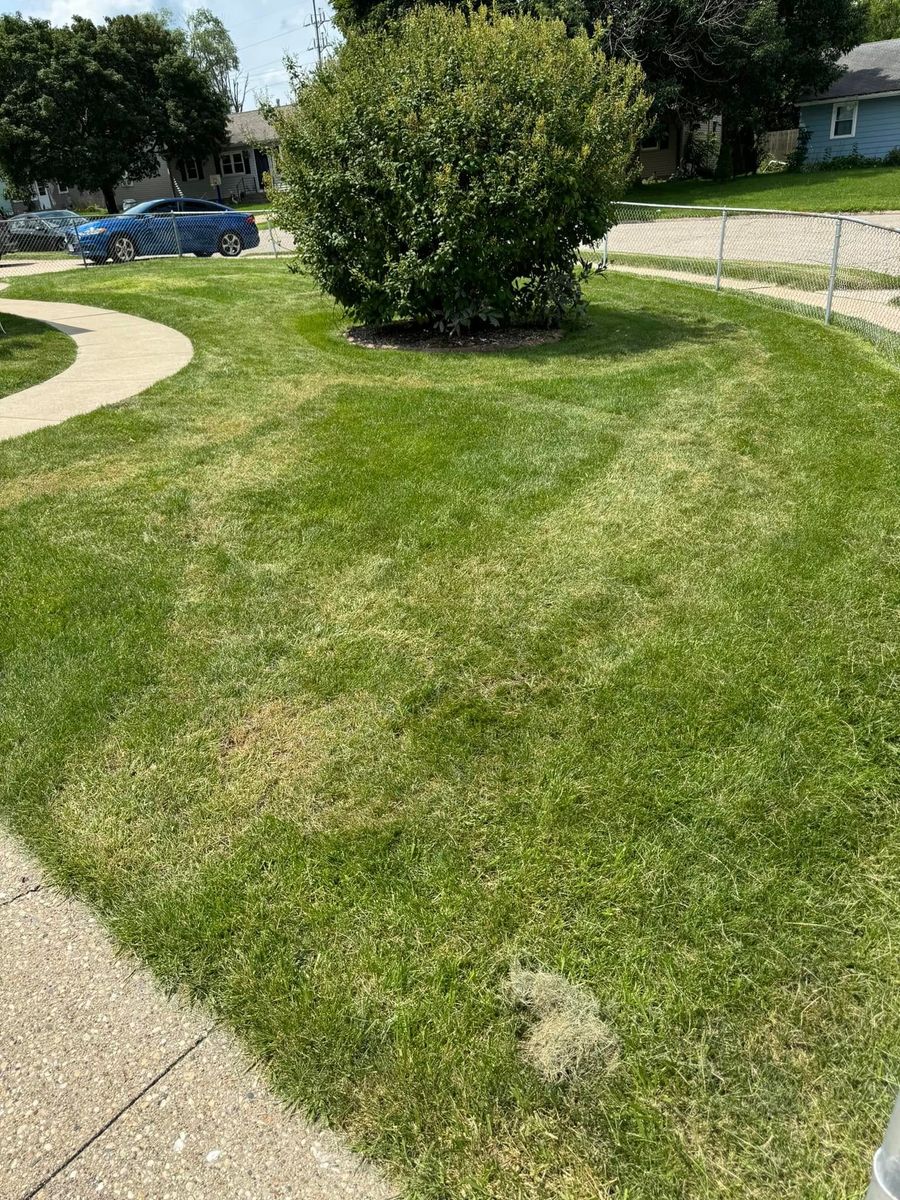 Lawn Aeration for B&G Lawn Care in Roscoe, IL