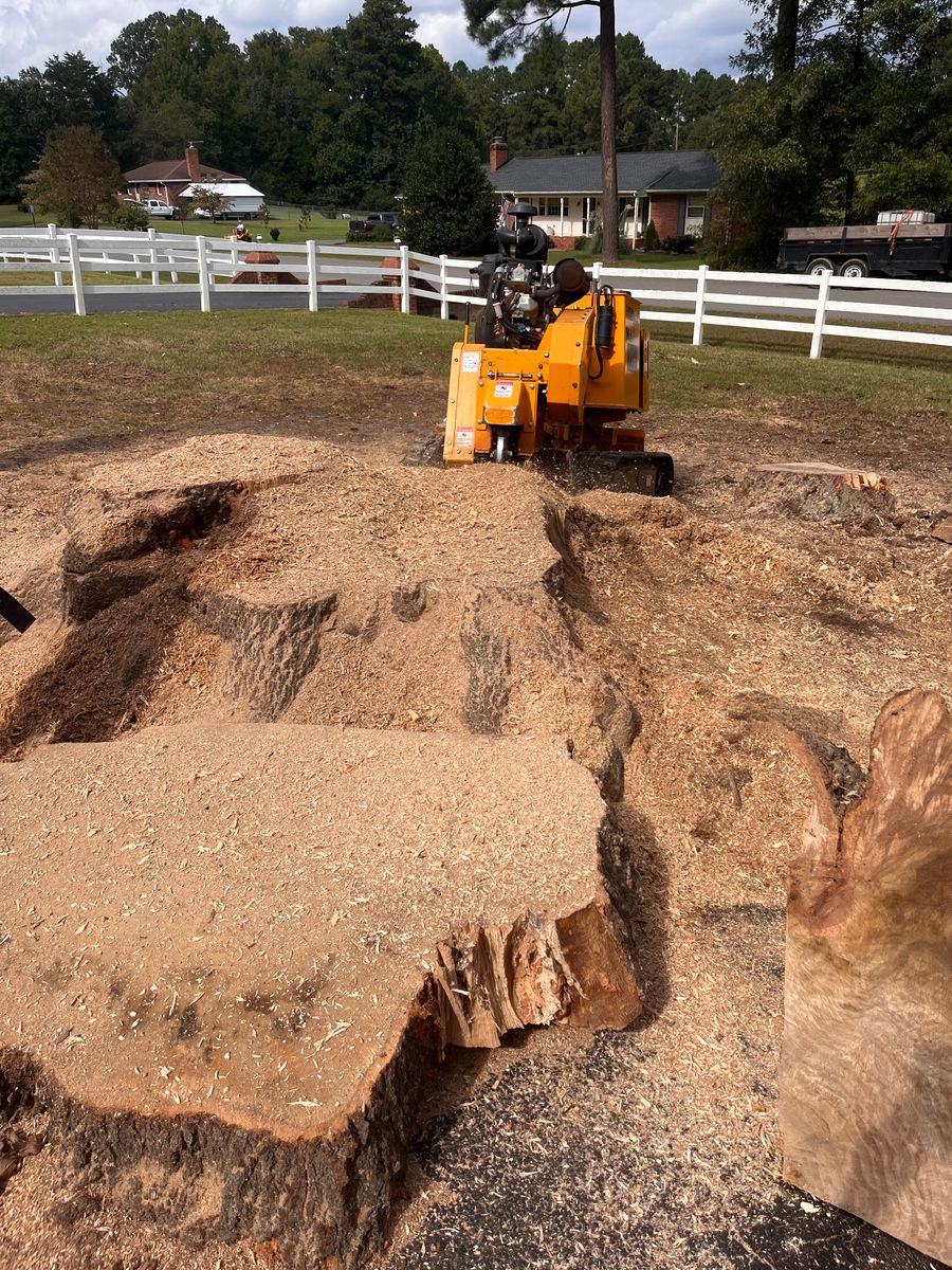 Stump Removal for Ricky's Tree Service & Property Care in Orange, VA