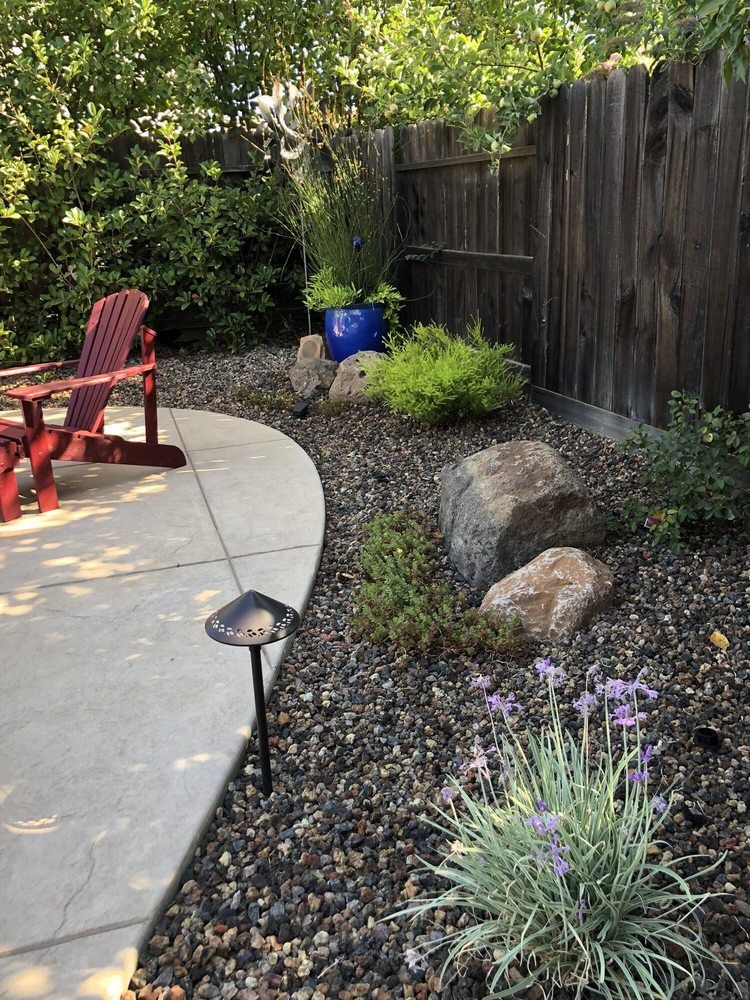 Garden Maintenance for New Vision Landscape in Folsom, CA