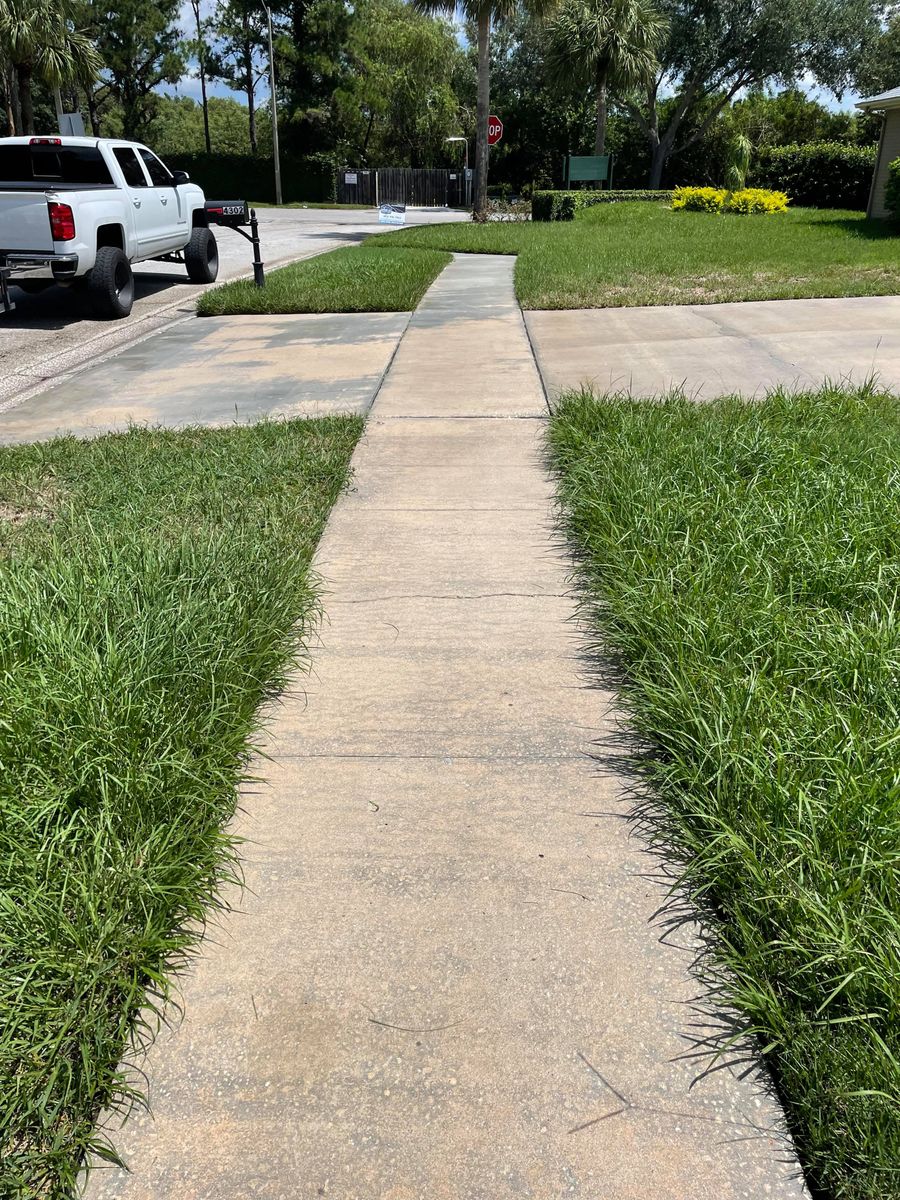 Driveway & Sidewalk Cleaning for Barr None Wash Pro in Tampa, FL