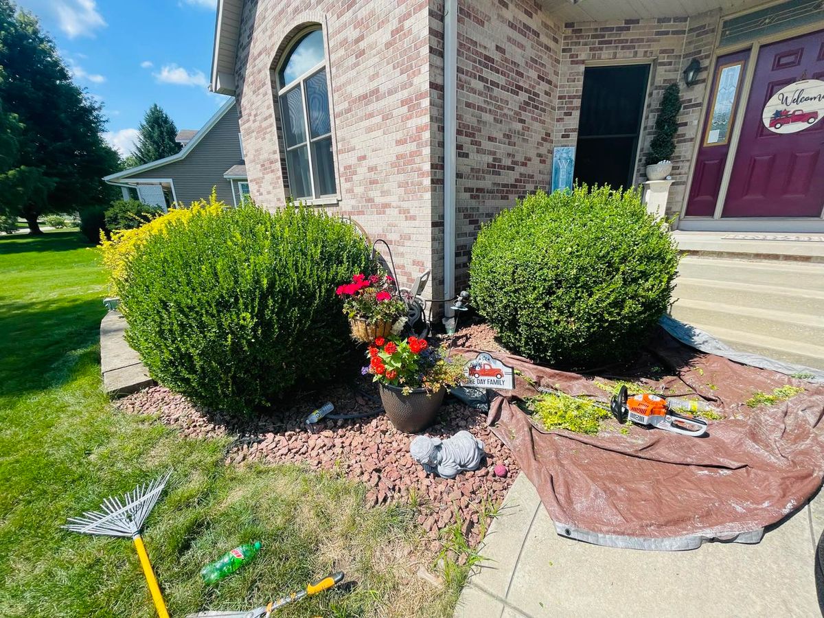 Shrub Trimming for Manny's Cleaning,Lawn Care & Snow Removal Services in Peoria, IL