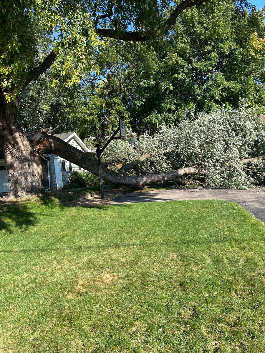 24-Hour Emergency Services for Allstate Tree Service and Crane in Minneapolis, MN