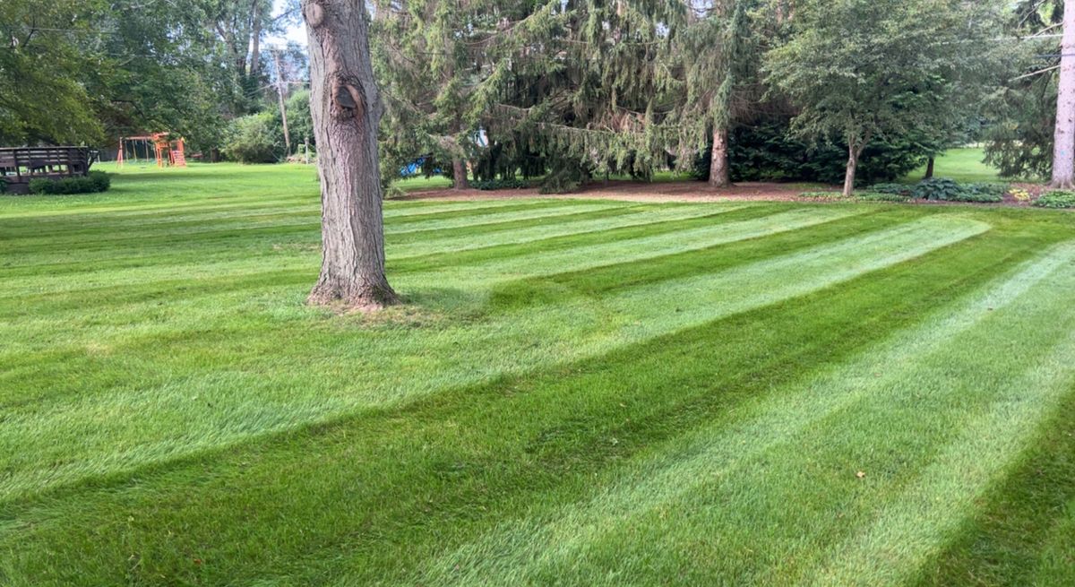 Lawn Aeration for Hammond Landscape in Okemos, MI