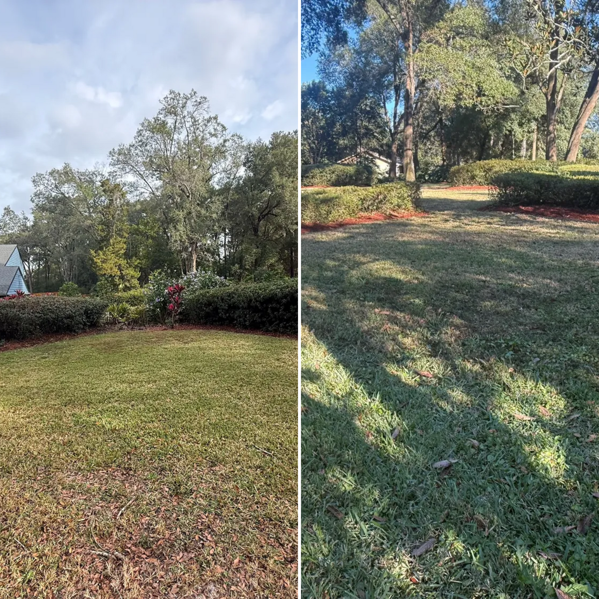 Fall Clean Up for Amerigrown Tree And Lawn in Apopka, FL