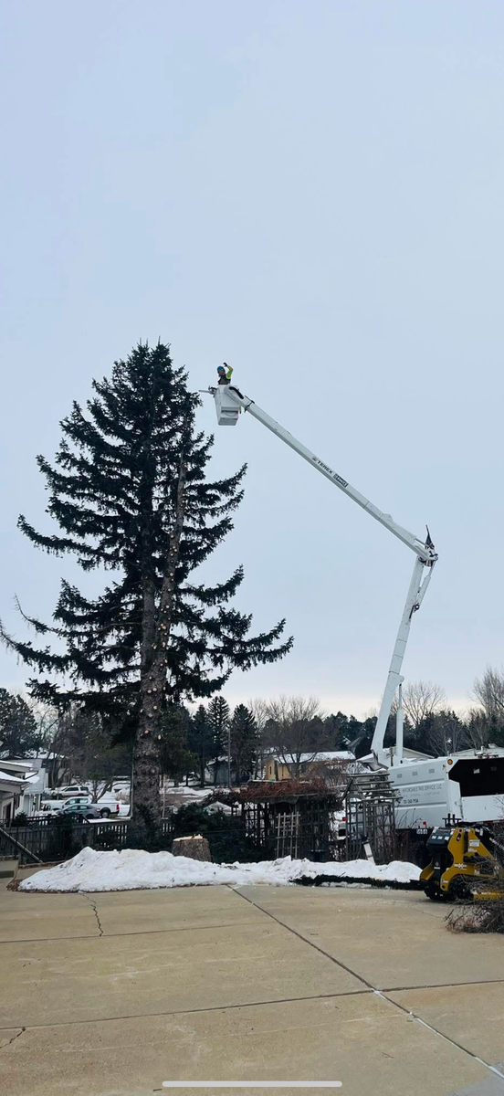 Tree Trimming & Removal for Outdoor Assassins LLC in Hendersonville, NC