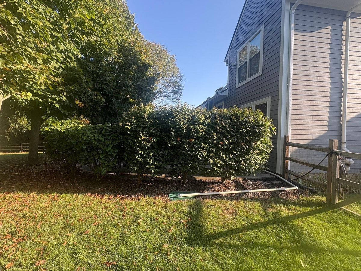 Fall Clean Up for Dig-It Tree Company in Mason, OH