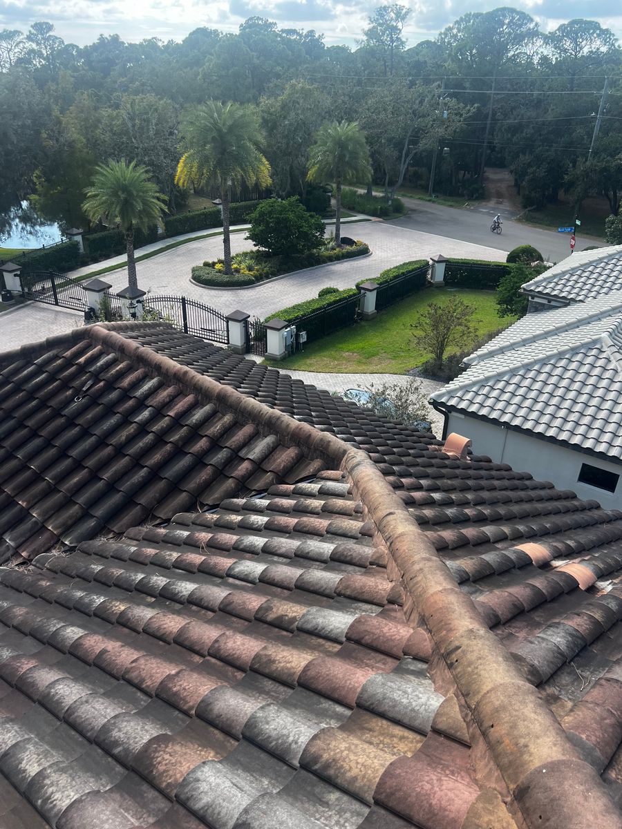 Exterior Cleaning for Barr None Wash Pro in Tampa, FL