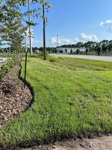 Tree Trimming + Removal for Jacksonville Outdoors in Jacksonville, FL