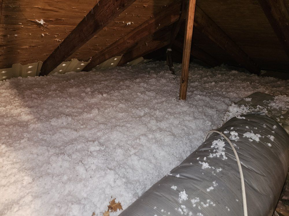 Crawl Space/Basement Insulation for Igloo Insulation in Fort Myers, FL