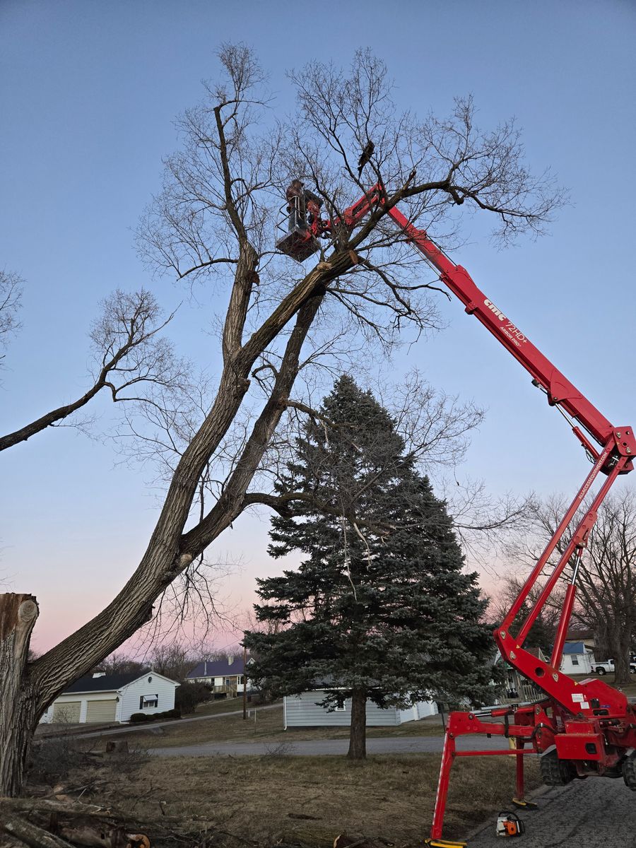 Tree Removal for Lawn Ranger Yard And Tree Service LLC in Ottumwa, IA