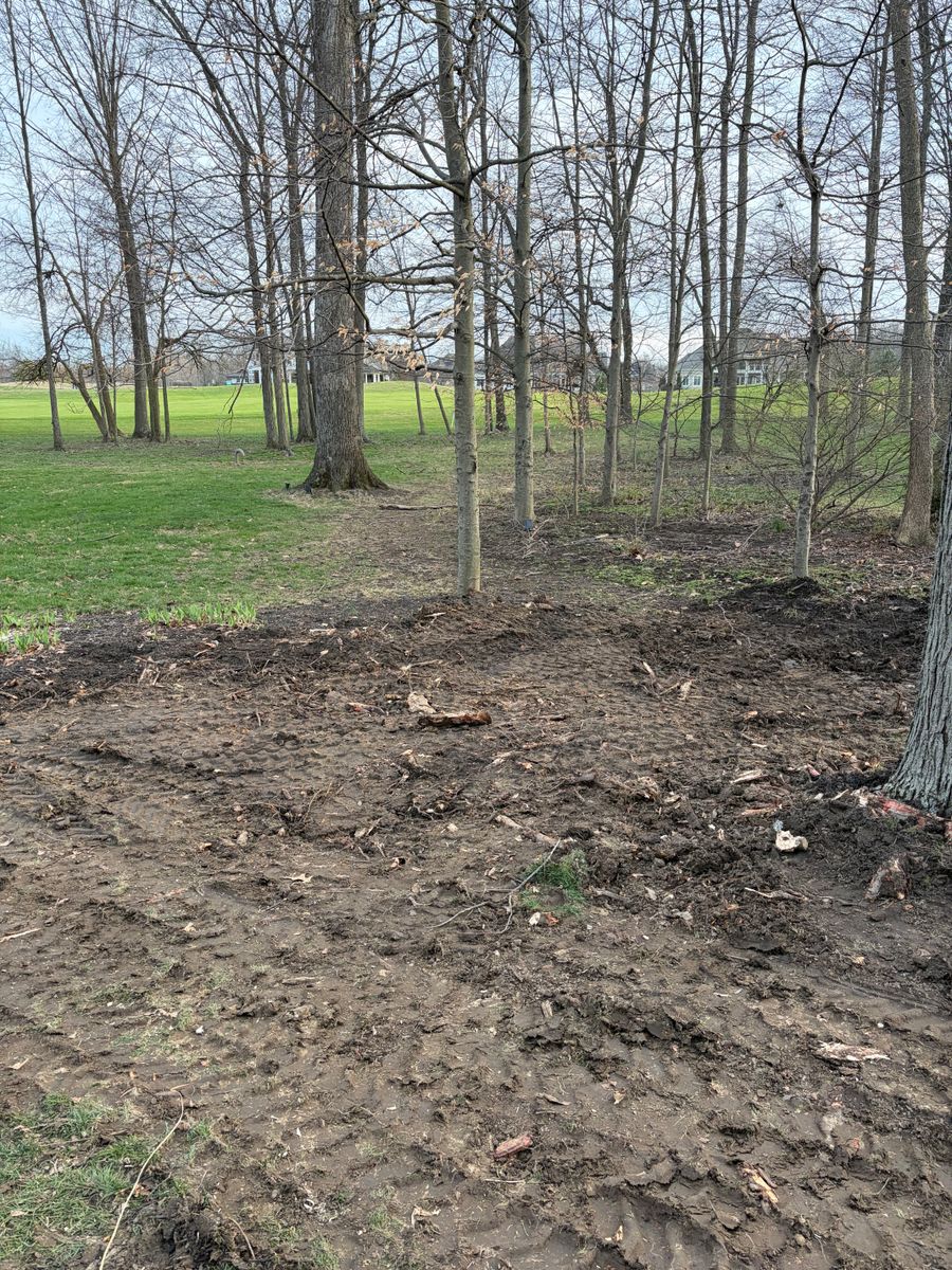 Land Clearing for Murray Excavation & Site services in Sunbury, OH
