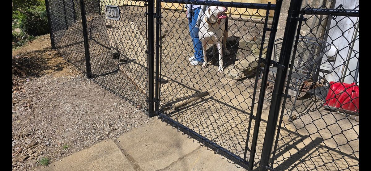 Dog Safety Fences for Backyard Fence Solutions LLC in Uniontown, PA