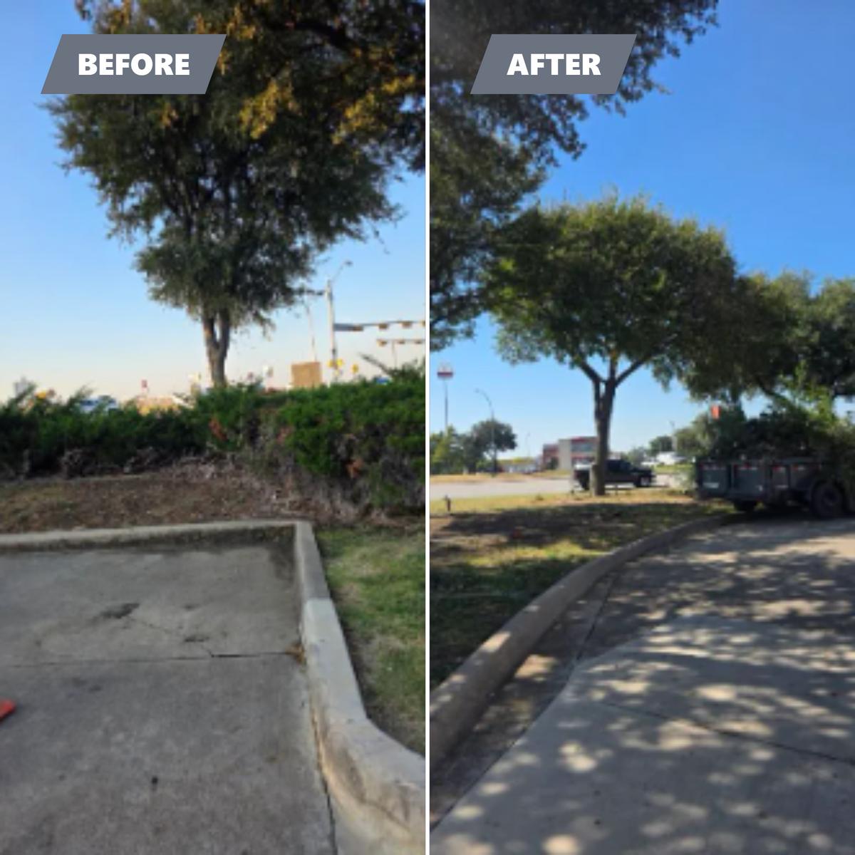 Tree Removal for RACSO RDZ LLC in McKinney, TX