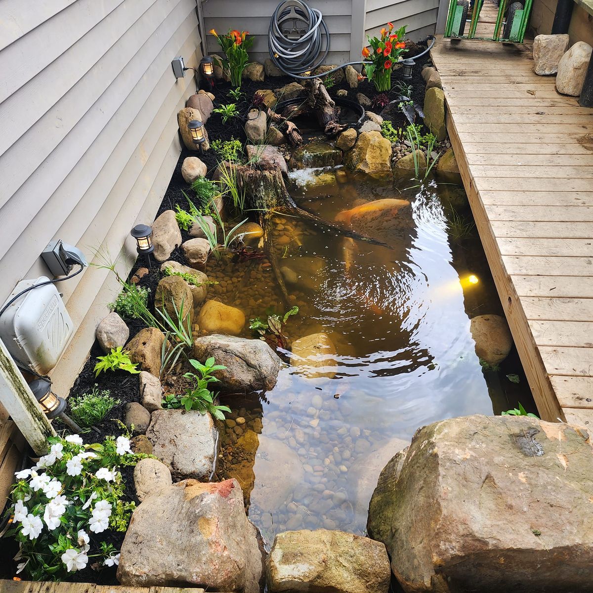 Water Features and Koi Fish for Freeland's Water Gardens in Clarksburg, WV