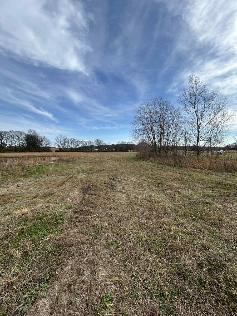 Property management and maintenance for Z's Land Management & Forestry Mulching in Smithville, TN