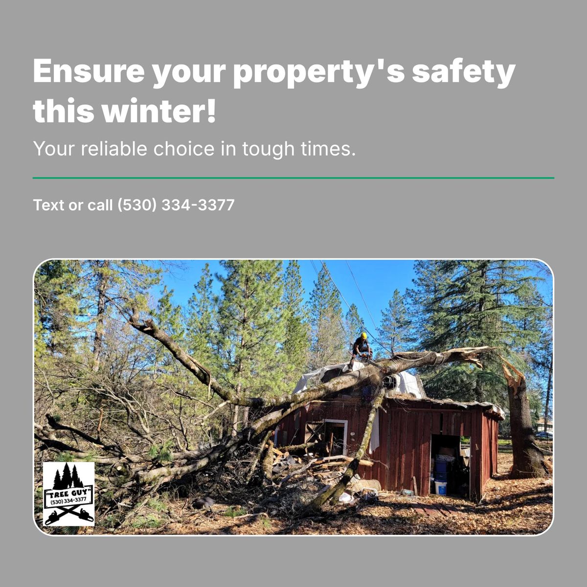 Storm Damage for George Staddan's Professional Tree Care in Placerville, CA