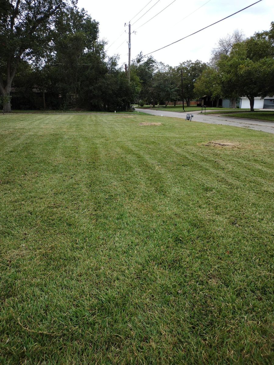 Aeration for Allen Lawn Care in Taylor, Texas