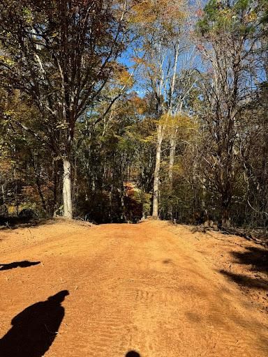Land Clearing for Fav5 Hauling & Grading in Mount Airy, NC