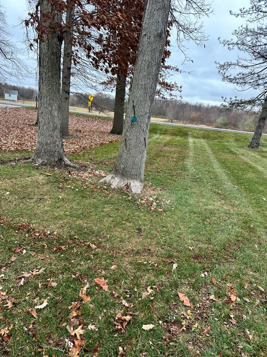 Fall Clean Up for Sargent's Lawn and Property Maintenance LLC in Lambertville, MI