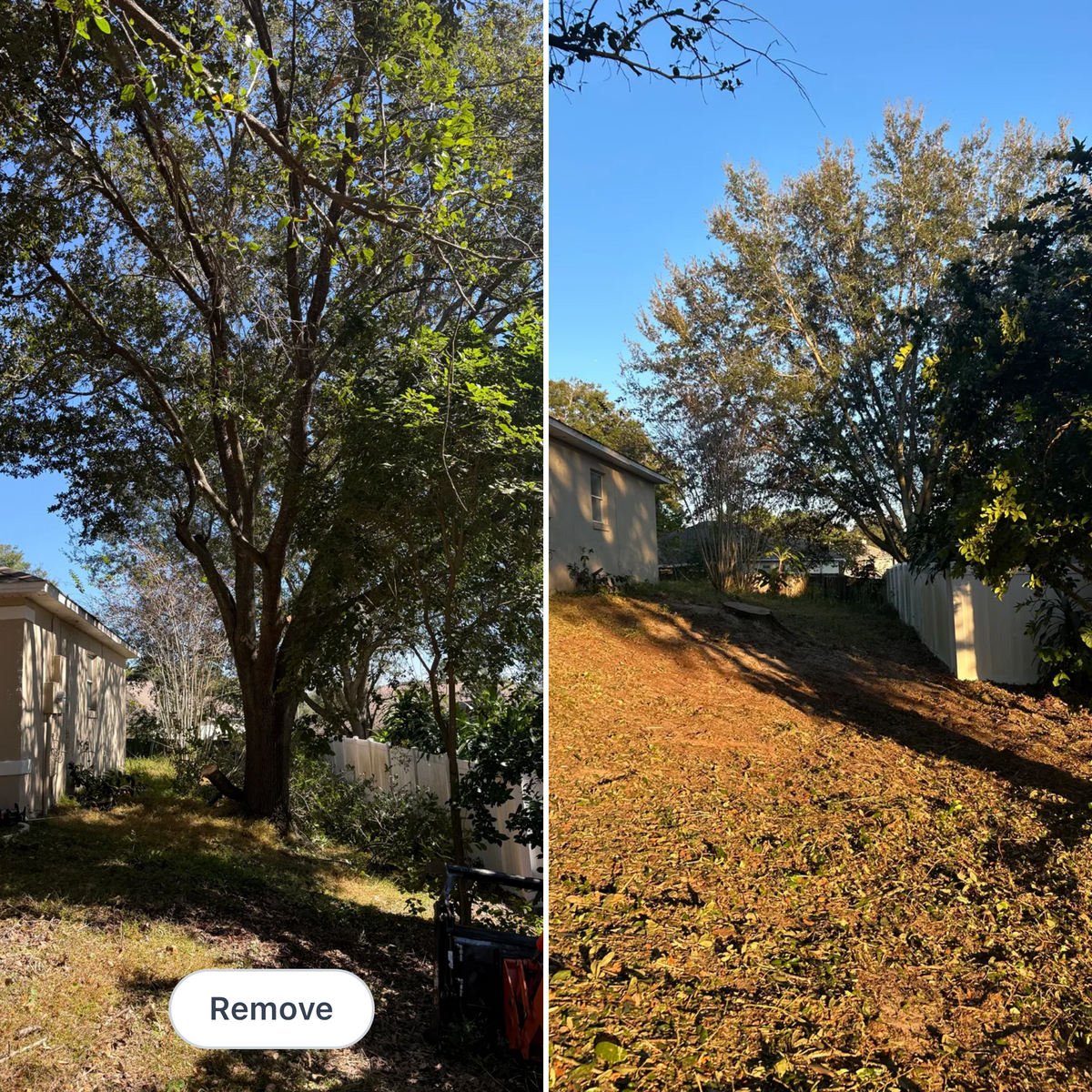 Land Clearing for Amerigrown Tree And Lawn in Apopka, FL