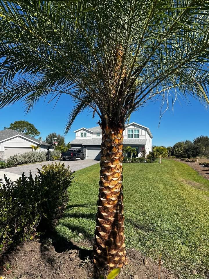 Landscape Design & Installation for Lawn Caring Guys in Cape Coral, FL