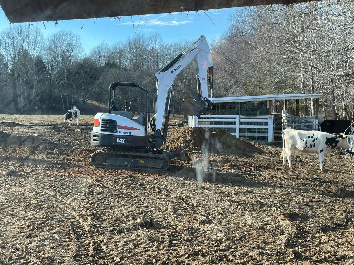 Cleaning up Property and Debris for Great American Landworks  in Morrison, TN