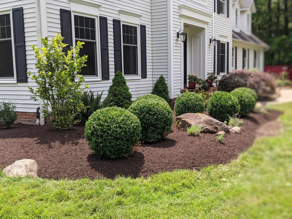 Tree & Shrub Care for MMN Landscaping in Painesville, OH