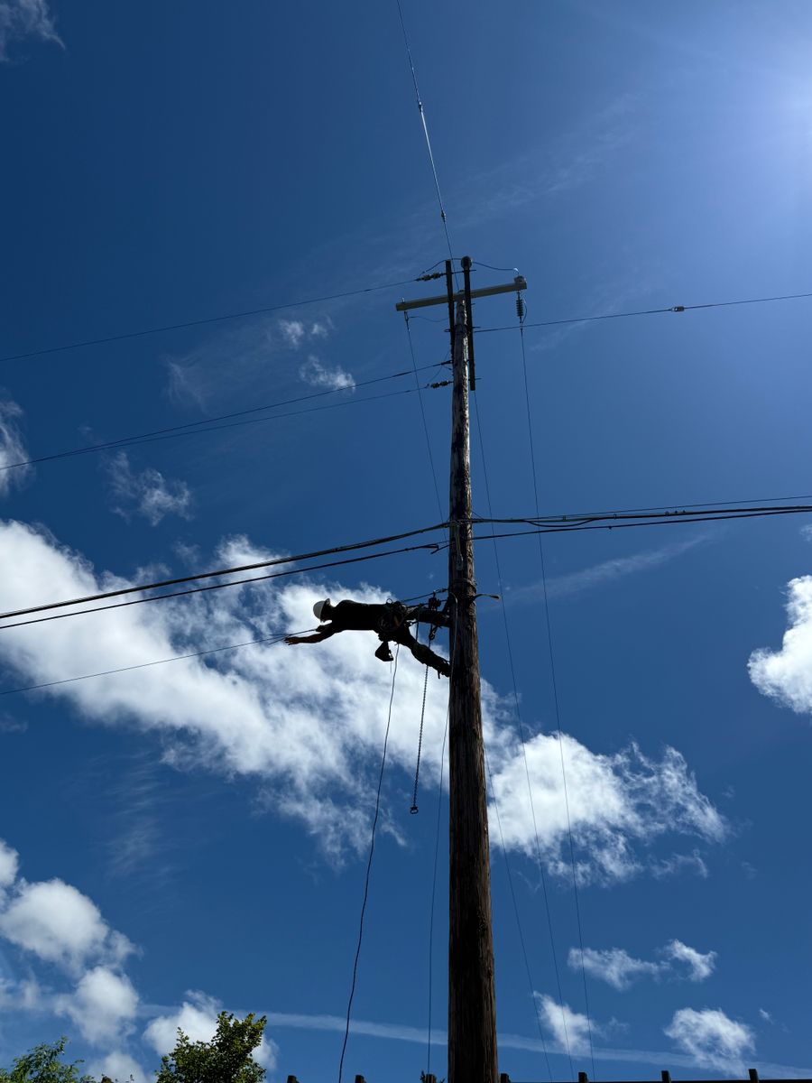 Communication Line Repairs for Hammons Construction LLC in Eugene, OR